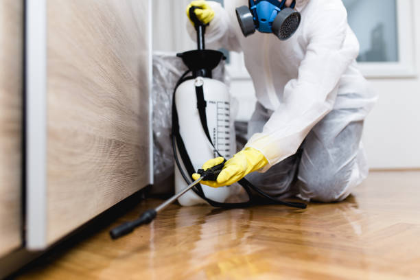 Best Affordable Pest Control Services  in Brentwood, MO