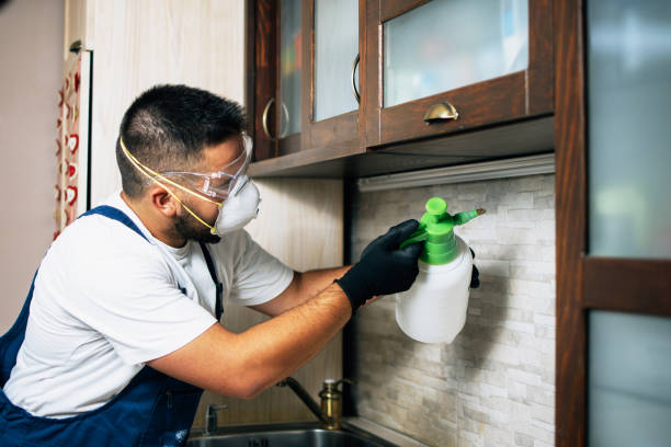 Best Cockroach Control Services  in Brentwood, MO