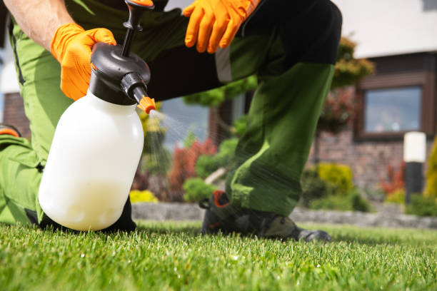 Trusted Brentwood, MO Pest Control Experts